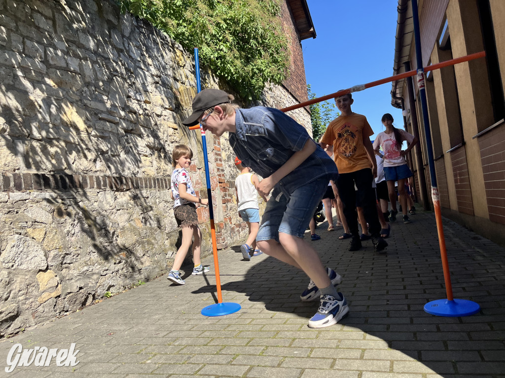 Piknik rozpoczął lato dla dzieci w TOTU