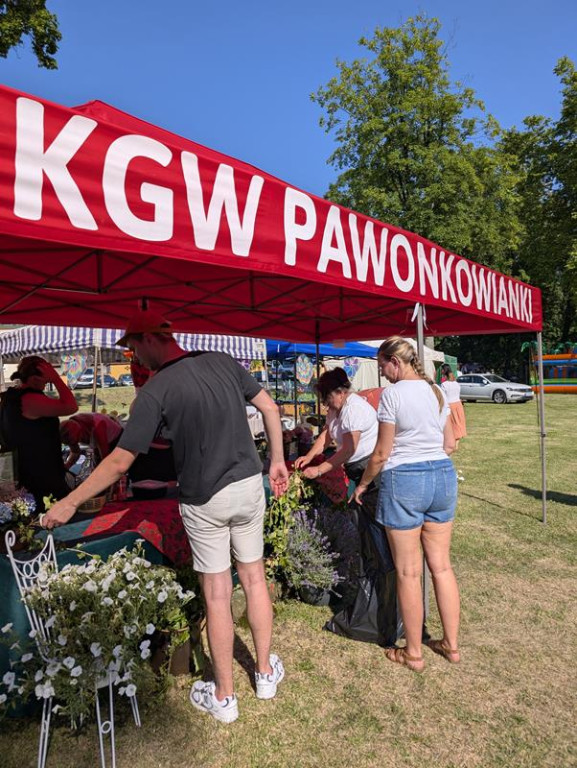 Zwiedzanie pałacu, koncerty i pokazy sprzętu wojskowego