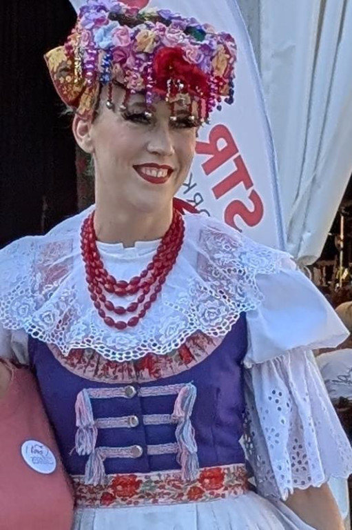 Zwiedzanie pałacu, koncerty i pokazy sprzętu wojskowego