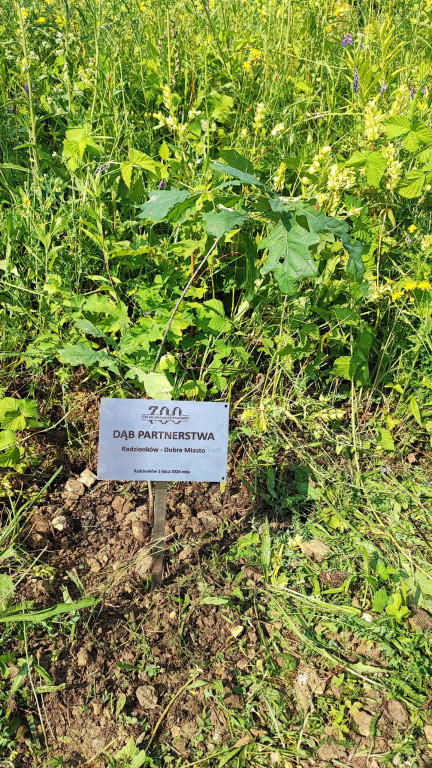 Radzionków. Akcja na Księżej Górze