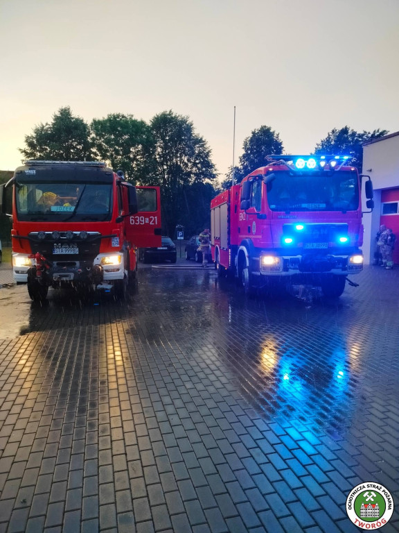 Powiat tarnogórski. Piorun uderzył w budynek. Pożar