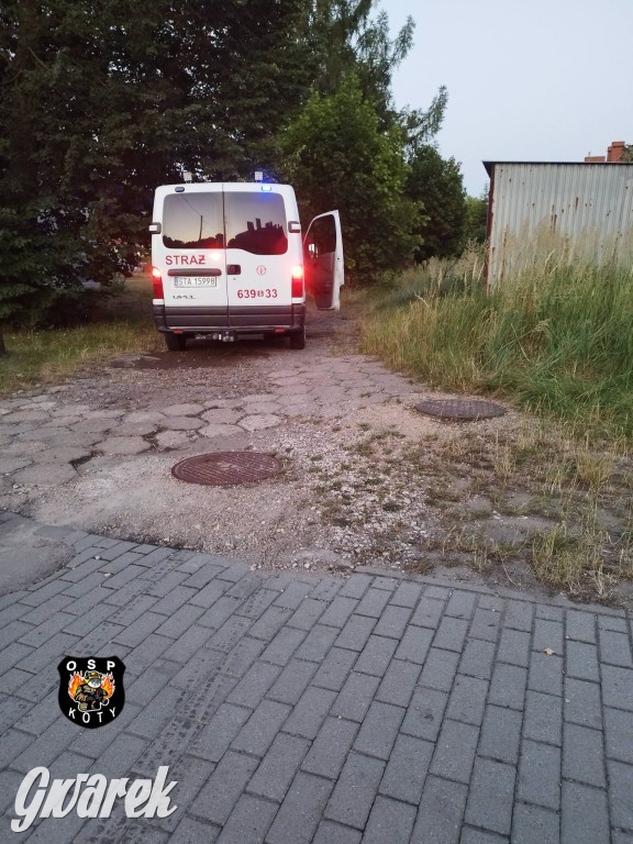 Powiat tarnogórski. Auto stanęło w ogniu