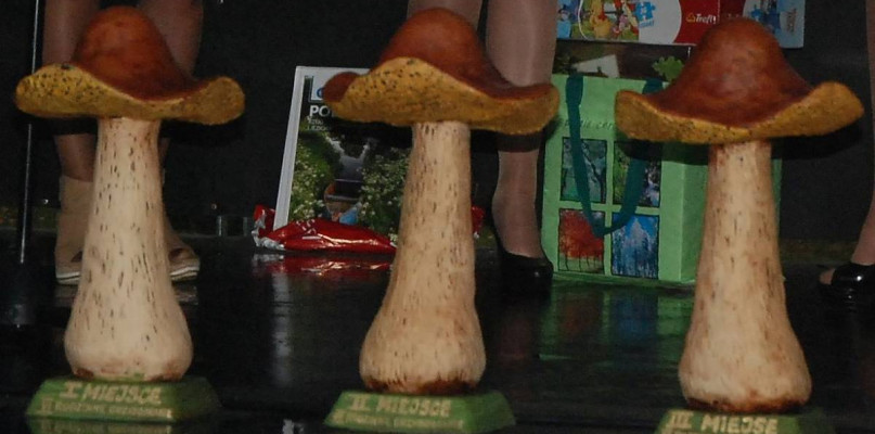 Grzybobranie w spóźnionym deszczu