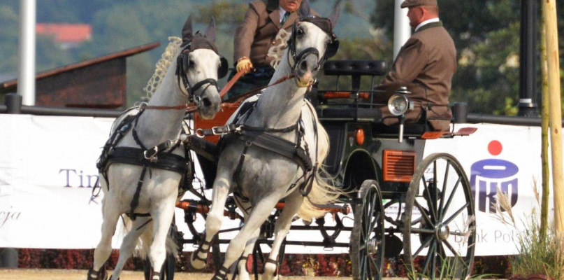 Mistrz w powożeniu (FILM)