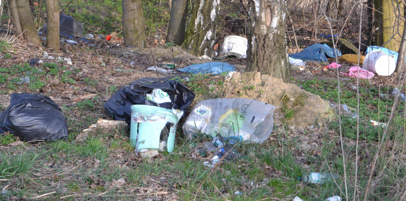 Czy dzięki otwarciu punktu selektywnej zbiórki śmieci będzie ich mniej w lesie? Fot. Krzysztof Garczarczyk