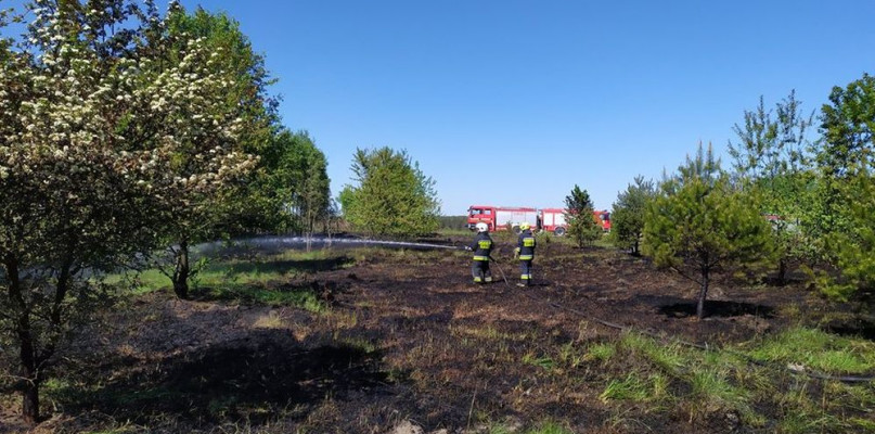Z powodu suszy zagrożenie pożarowe jest bardzo wysokie. Fot. OSP Brynica