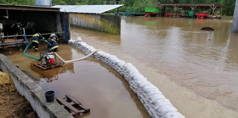 Zalane gospodarstwo w Połomi. Fot. UG Tworóg