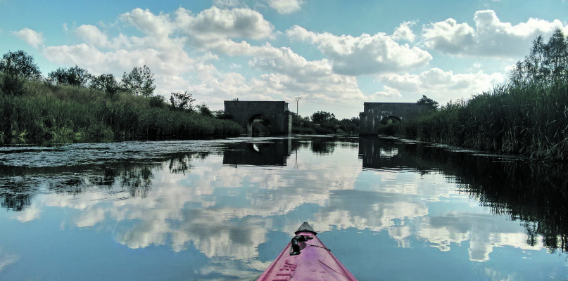 Spływ po Brynicy. Fot. Kajaki Śląskie