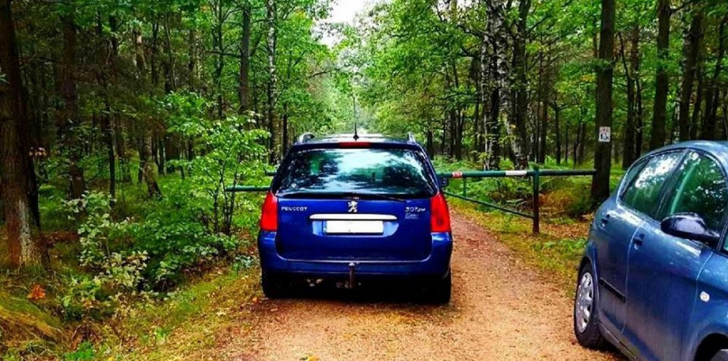 Fot. K. Biziewski, Nadleśnictwo Świerklaniec