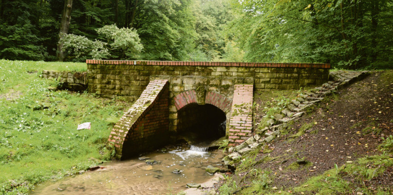 Przyrodniczo to najcenniejszy park w Tarnowskich Górach