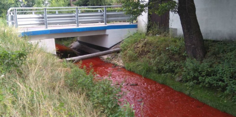 Dwa lata temu coś zabarwiło Stołę na czerwono. Fot. Archiwum czytelnika