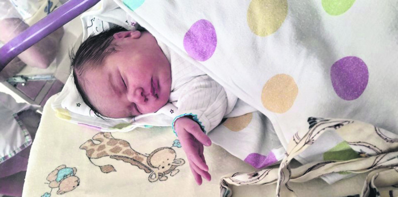 Anka, największa z sióstr. Fot. Archiwum WSP