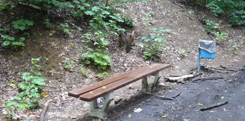 W parku są kosze na śmieci, ale i tak ludzie rzucają je gdzie popadnie. Fot. Agnieszka Reczkin