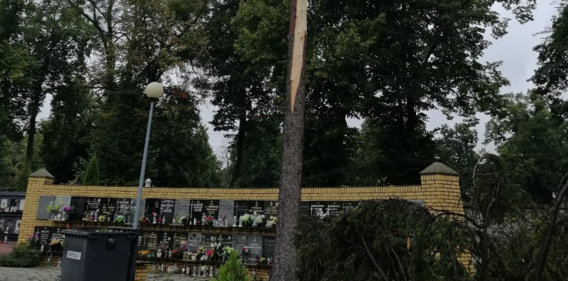 Fot. Archiwum PSP Tarnowskie Góry