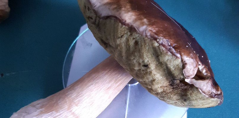 Fot. Archiwum Czytelnika