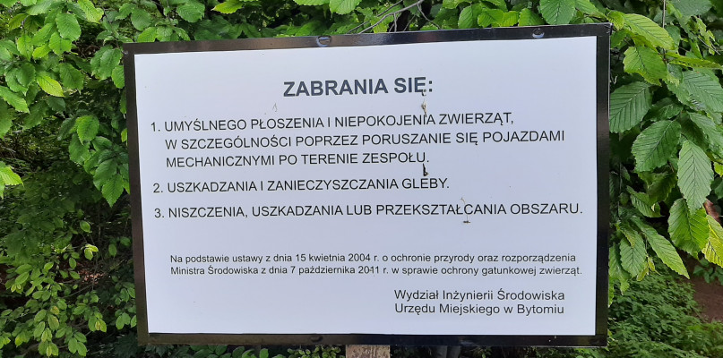 Czego nie wolno robić w Labiryncie Skalnym 