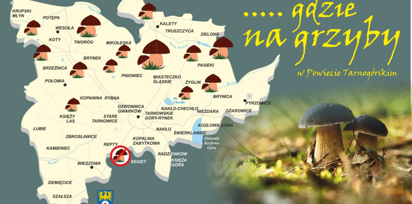 Fot. Archiwum starostwa