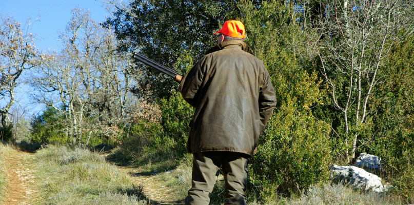 Zdjęcie poglądowe. Fot. Pixabay