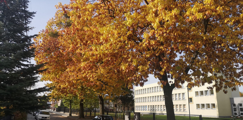 Fot. UM Tarnowskie Góry