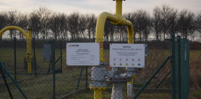 Zdjęcie poglądowe Fot. Archiwum Gwarka 