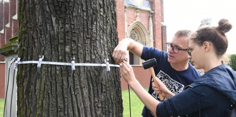 Fot. Archiwum UM Bytom/Arkadiusz Janocha