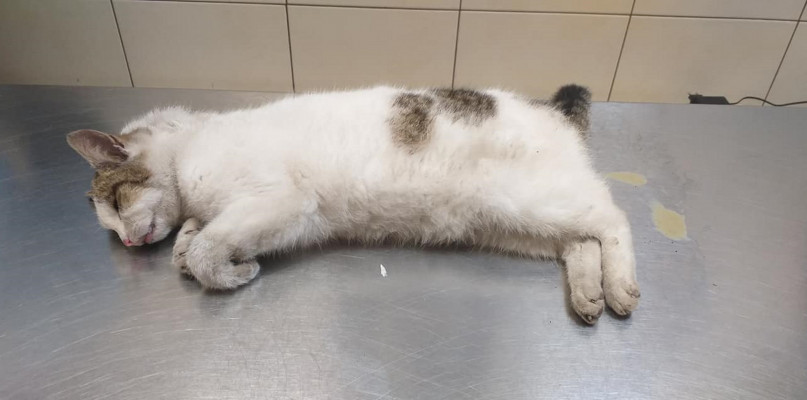 Fot. Archiwum prywatne 