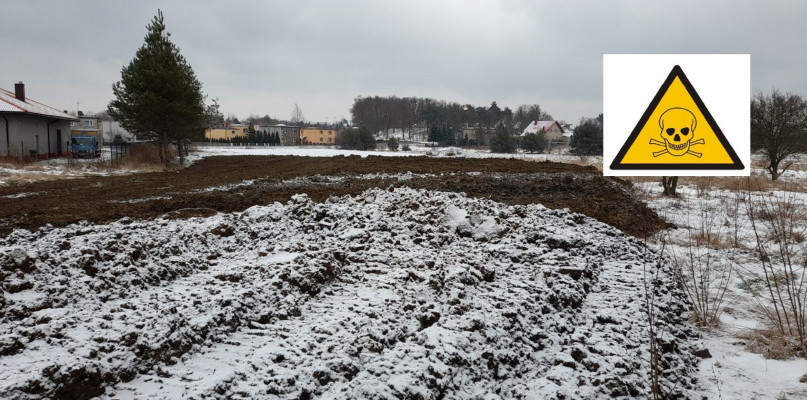 Fot. Archiwum WIOŚ w Katowicach/pexels.com