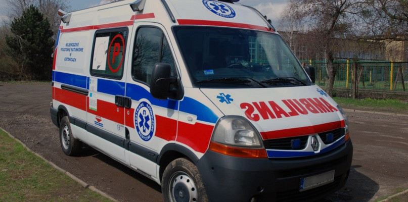 Fot. Archiwum Gwarka 