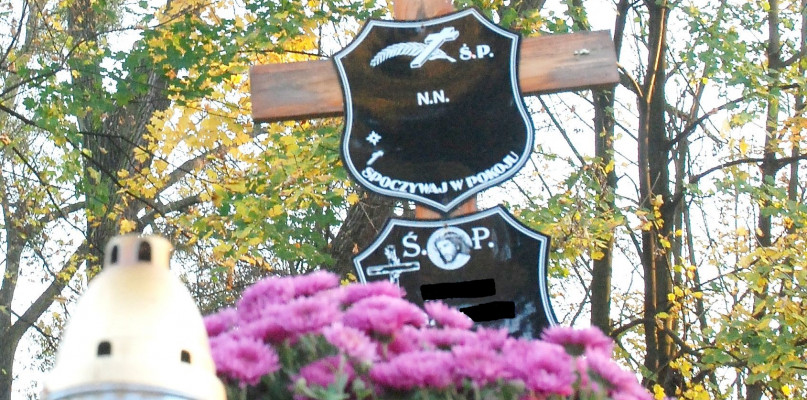 Zdjęcie poglądowe. Fot. Jarosław Myśliwski