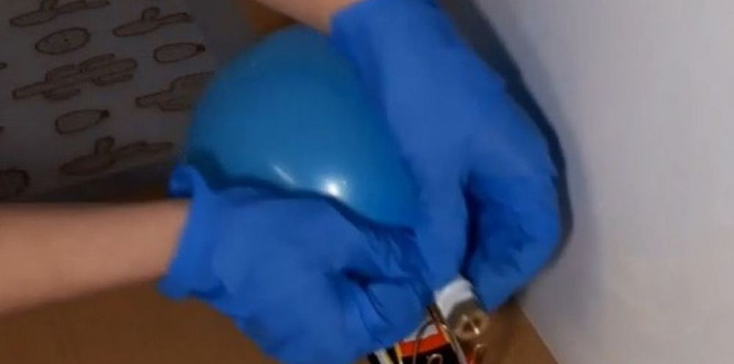 Fot. Archiwum szkoły