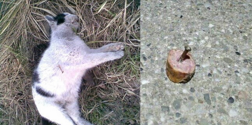 Fot. Archiwum prywatne 