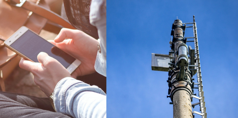 Fot. pexels.com/pixabay.com