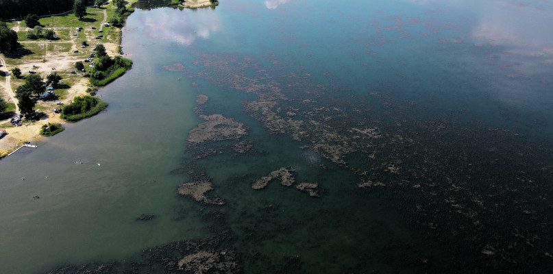 Biwakujący na polu nad zalewem Nakło-Chechło muszą zapłacić i za wjazd na pole, i za wjazd nad zalew . Fot. Jarosław Myśliwski