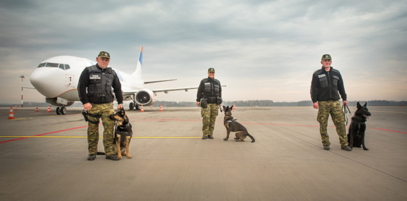 Psy pełniące służbę na lotnisku w Pyrzowicach zostały wyszkolone do szukania materiałów wybuchowych i narkotyków. Fot. Archiwum ŚOSG