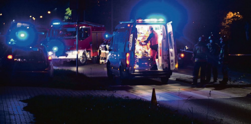 Piesza odniosła bardzo poważne obrażenia. Nie było szans na ratunek, zmarła w szpitalu. Fot. Jarosław Myśliwski