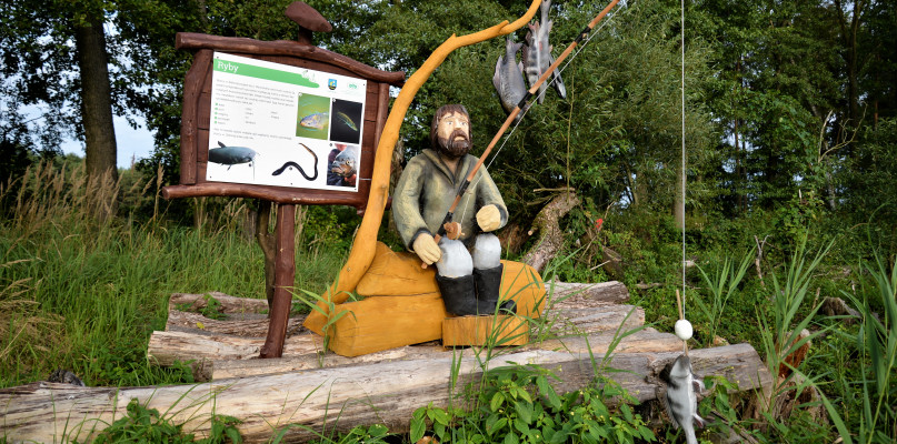 Kalety. Ścieżka edukacyjna na wyspie w Zielonej. Fot. Jarosław Myśliwski