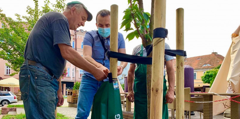 Worki najpierw zamontowano na Rynku w Tarnowskich Górach. Fot. UM w Tarnowskich Górach 