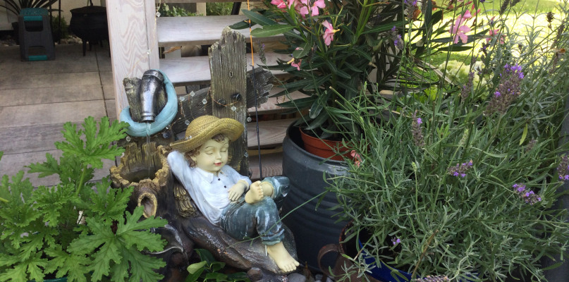 Ogród Anny Gabryś z Krupskiego Młyna. Zajmuje się nim razem z mężem. Fot. Archiwum czytelniczki