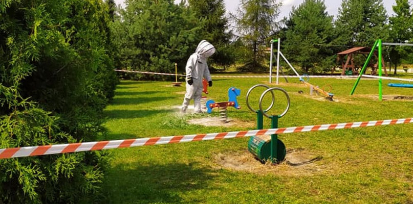 Ossy. Gniazdo os na placu zabaw. Fot. OSP Ossy