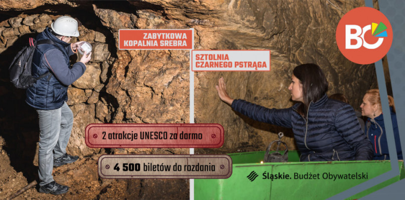 Wydawało się, że do rozdania jest aż 4,5 tysiąca darmowych biletów. Okazało się, że tylko 4,5 tysiąca... Fot. SMZT