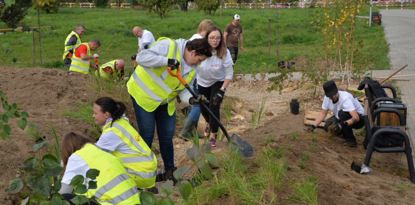 W Tarnowskich Górach powstał pierwszy ogród deszczowy. Znajduje się na terenie skweru przy ul. Morcinka. Fot. Alicja Jurasz