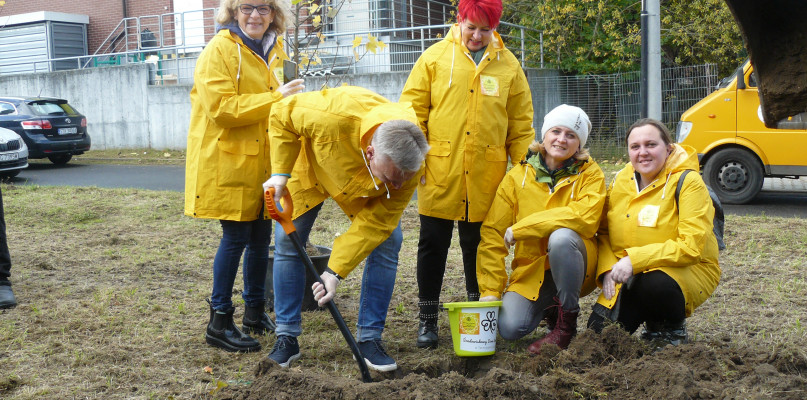 Tarnowskie Góry, Osada Jana. Sadzenie drzew na skwerze przy markecie Biedronka. Fot. Agnieszka Reczkin