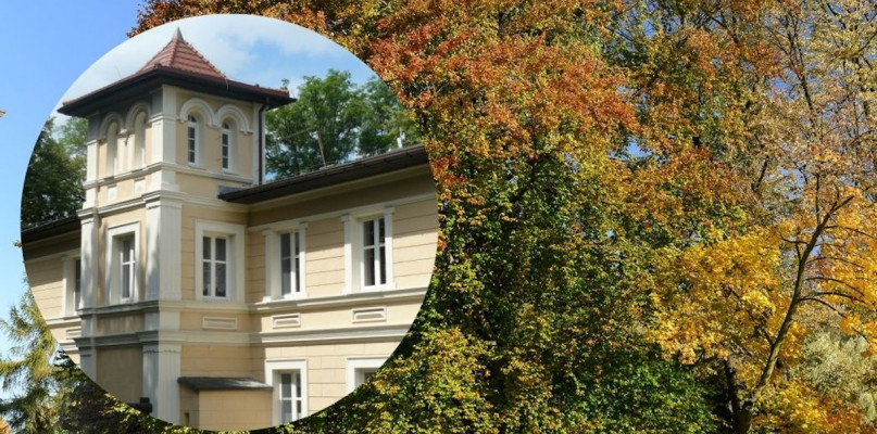 Zabytkowy dąb rośnie obok willi Rubinów, w której obecnie mieści się przedszkole. Fot. Agnieszka Reczkin