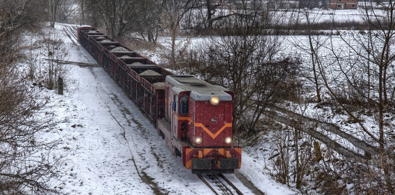 Tarnowskie Góry. Wąskotorowy pociąg towarowy z ładunkiem. Fot. Mariusz Senderowski, SGKW
