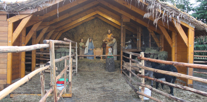 Żywa szopka w Świniowicach. Fot. Alicja Jurasz