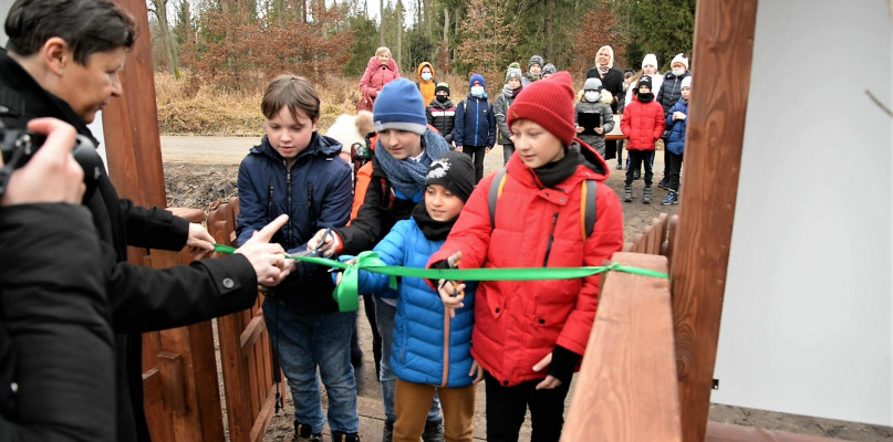Kalety. Ścieżka do cisa Donnersmarcka oficjalnie otwarta. Fot. Jarosław Myśliwski