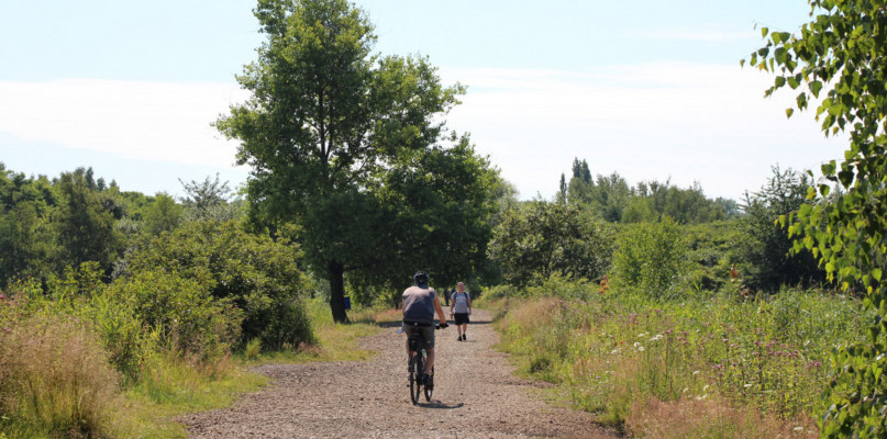 Żabie Doły w Bytomiu. Fot. Archiwum Gwarka 