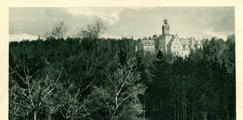 Pałac rodziny Henckel von Donnersmarck w Reptach Śląskich. Pocztówka z początku XX w. Archiwum SMZT