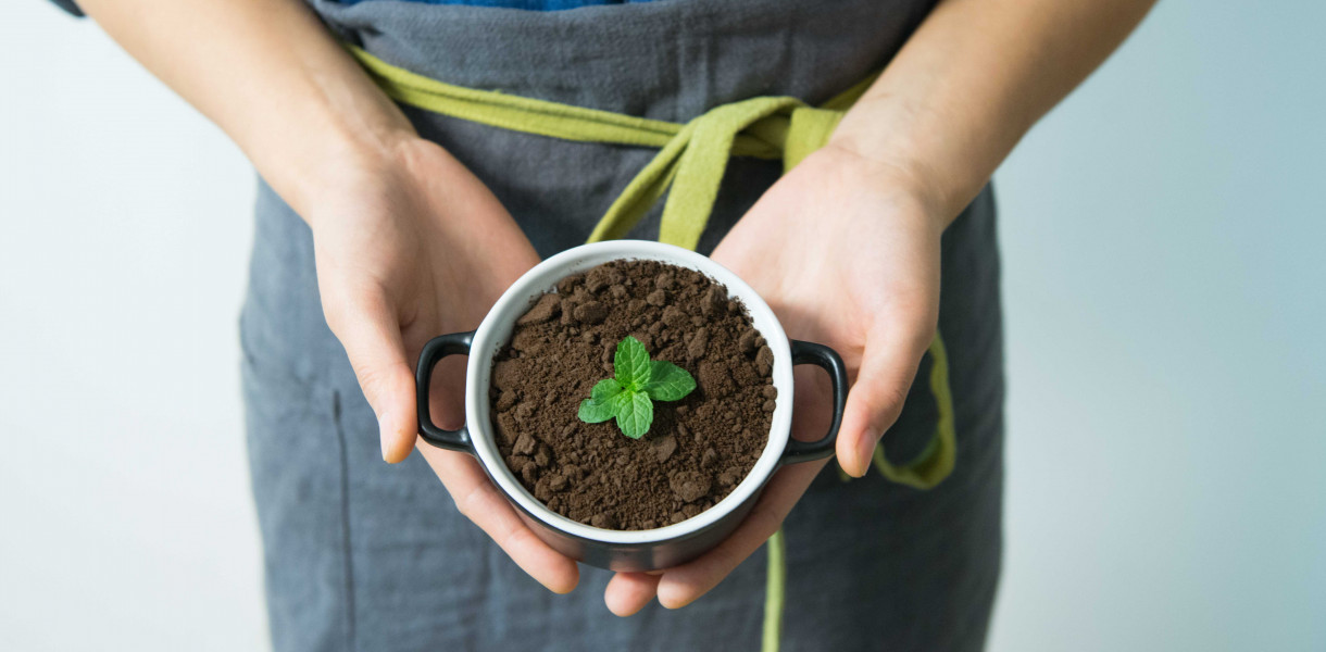 Robią to po raz pierwszy. Chcesz wymienić się jakąś rośliną, zajrzyj przed remizę OSP w Ossach
