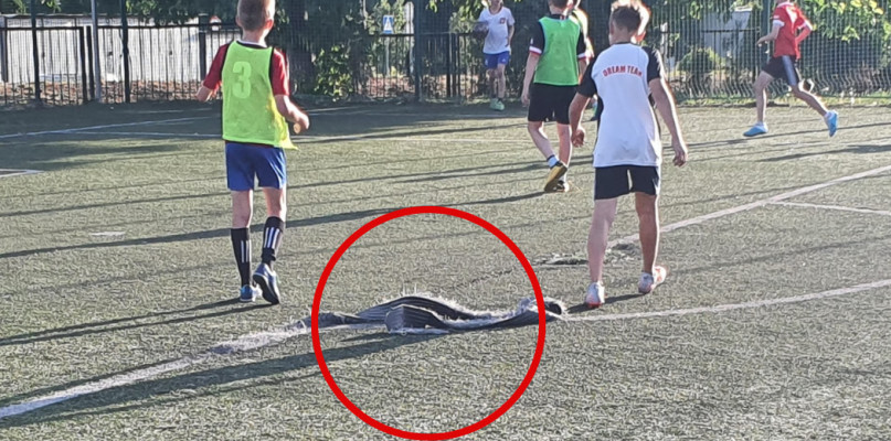 Fot. Archiwum czytelnika